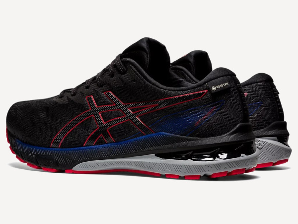 Кроссовки GT-2000 10 GTX M (RU 43.5 EU 44.5 US 10.5 СМ 28.25; graphite grey/black)